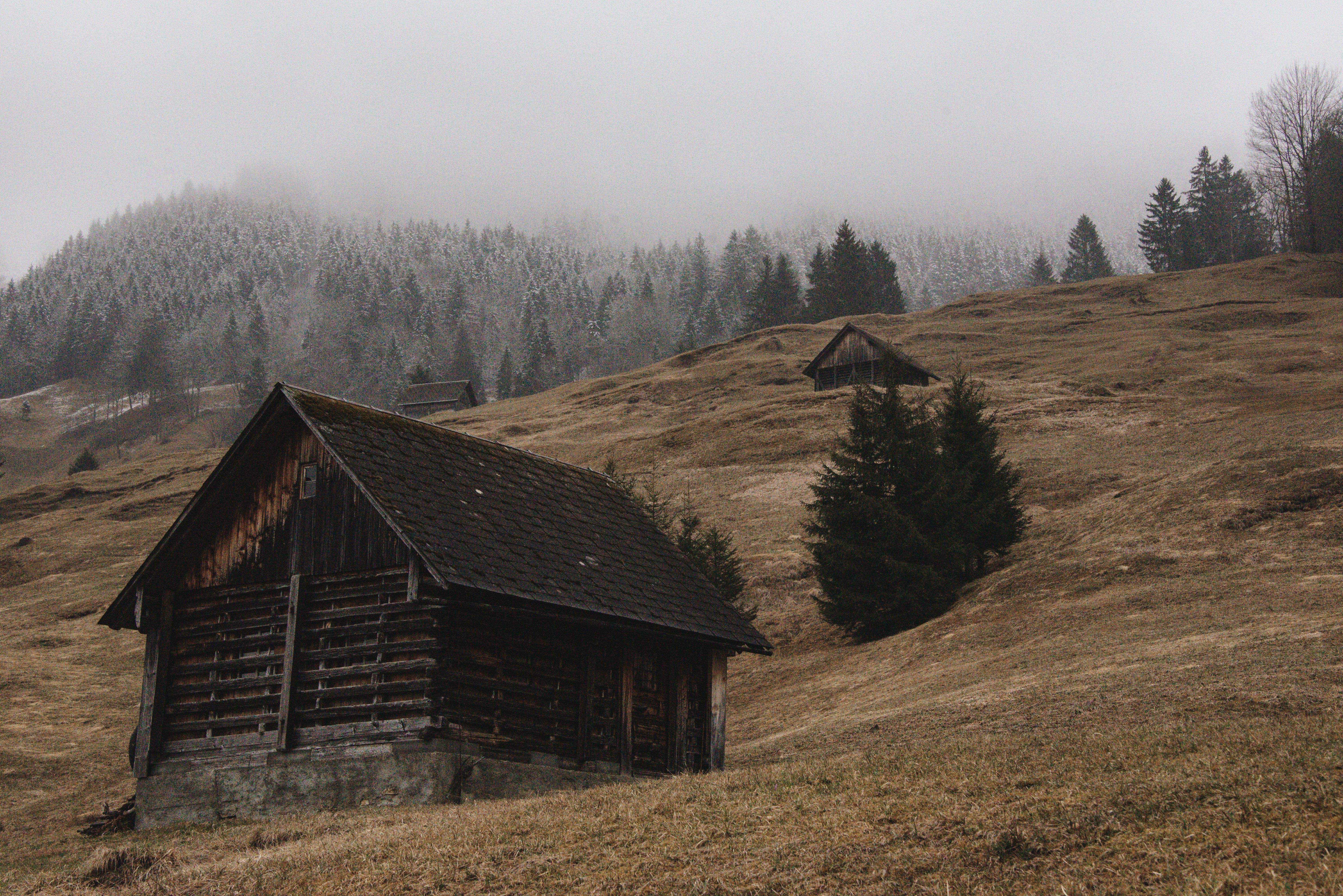 Wildheuen am Steilhang, Eggberg